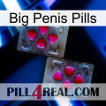 Big Penis Pills 15